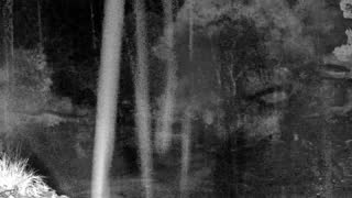 Still 2 from this detection