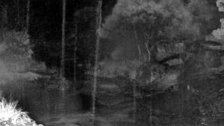 Still 3 from this detection