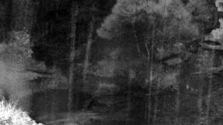 Still 1 from this detection