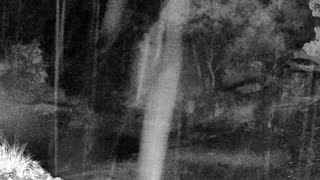 Still 2 from this detection