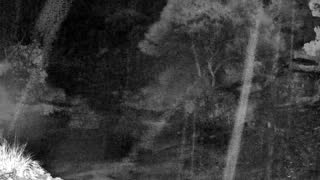Still 3 from this detection