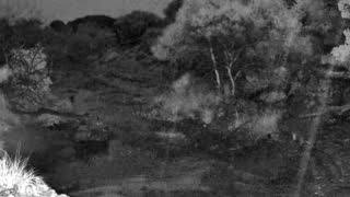 Still 1 from this detection