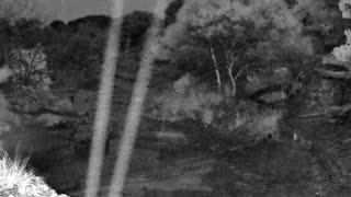 Still 3 from this detection