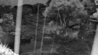 Still 1 from this detection