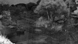 Still 2 from this detection