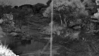 Still 3 from this detection