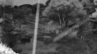Still 3 from this detection