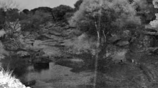 Still 1 from this detection