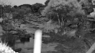 Still 3 from this detection