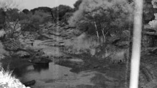 Still 2 from this detection