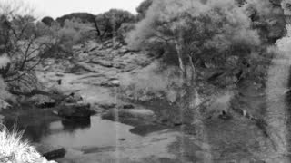 Still 2 from this detection