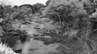Still 1 from this detection