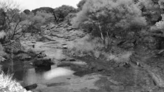 Still 1 from this detection