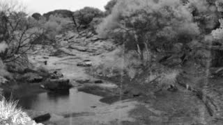 Still 2 from this detection