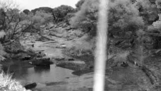 Still 2 from this detection