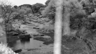 Still 3 from this detection