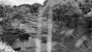 Still 2 from this detection
