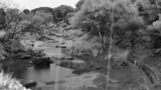 Still 1 from this detection