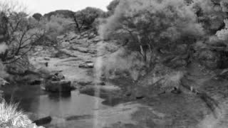 Still 2 from this detection