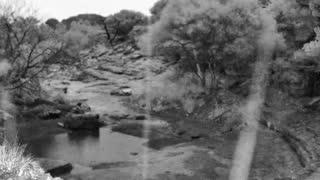 Still 1 from this detection