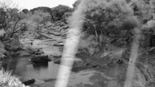 Still 2 from this detection