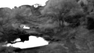 Still 1 from this detection