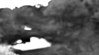 Still 3 from this detection