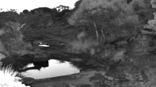 Still 1 from this detection
