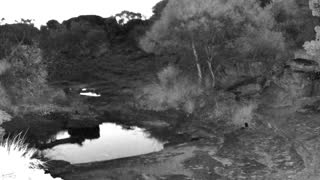 Still 2 from this detection