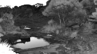 Still 1 from this detection