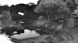Still 1 from this detection
