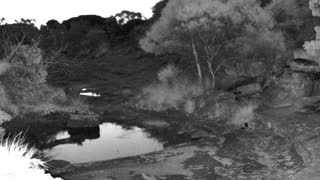 Still 2 from this detection