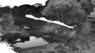 Still 2 from this detection