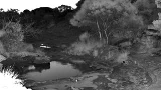 Still 3 from this detection