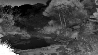 Still 3 from this detection