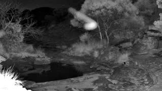 Still 2 from this detection
