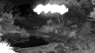 Still 2 from this detection