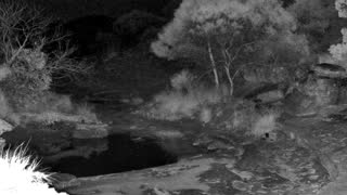 Still 3 from this detection