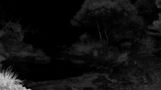 Still 1 from this detection