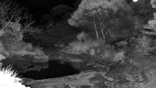 Still 1 from this detection