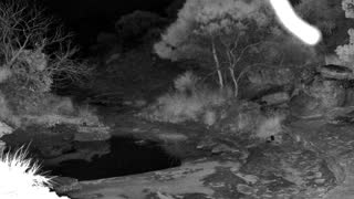 Still 1 from this detection