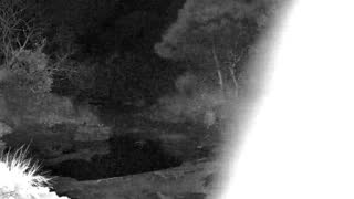 Still 1 from this detection