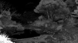 Still 2 from this detection