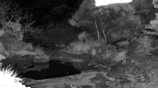 Still 1 from this detection