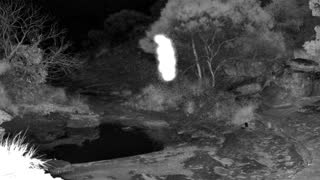 Still 1 from this detection