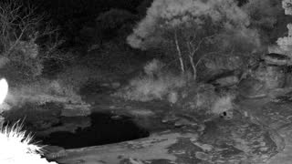 Still 1 from this detection