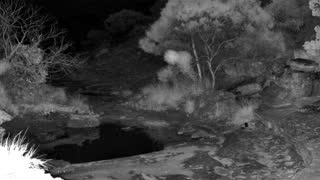 Still 2 from this detection
