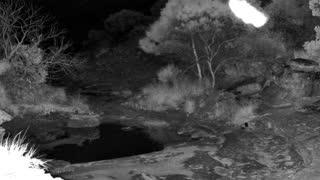 Still 1 from this detection