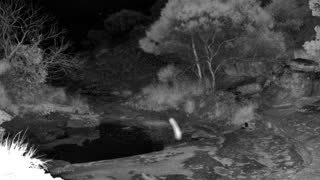 Still 2 from this detection