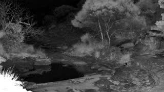 Still 2 from this detection